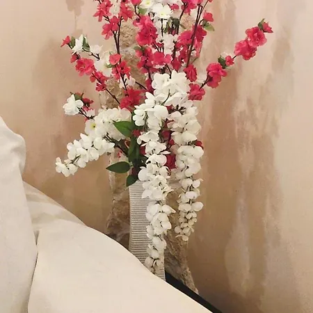度假居 House Piccola *